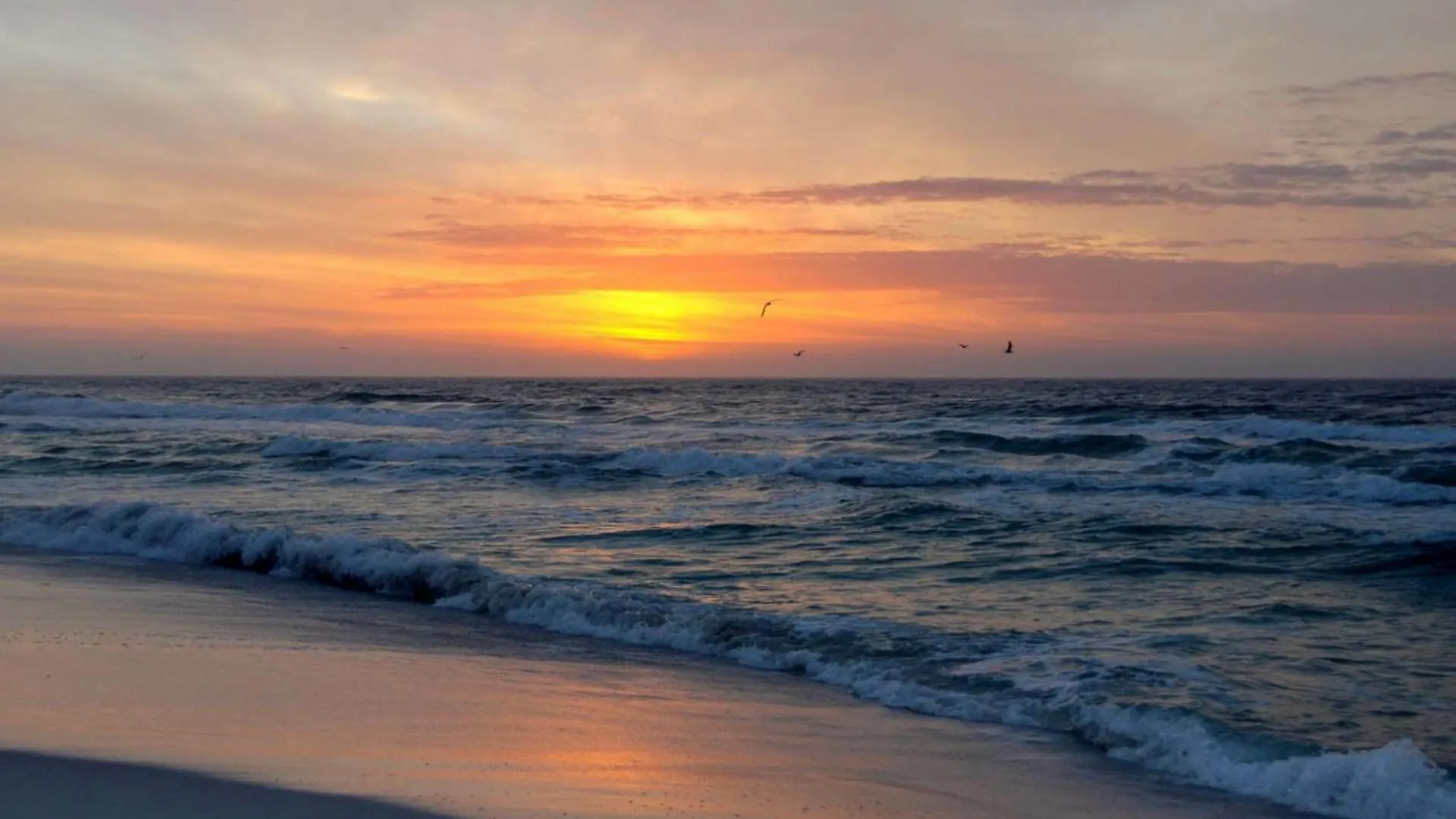 1015 Summerhouse Apartment Panama City Beach 0*,  United States
